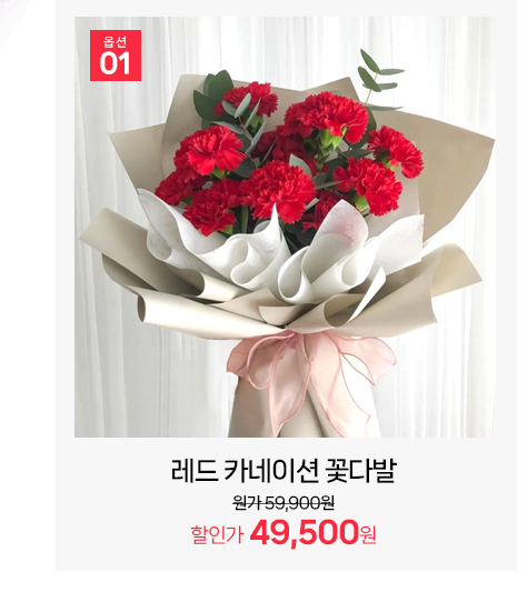선명한 레드 카네이션 생화 꽃다발 1단 기념일 선물용 꽃주문