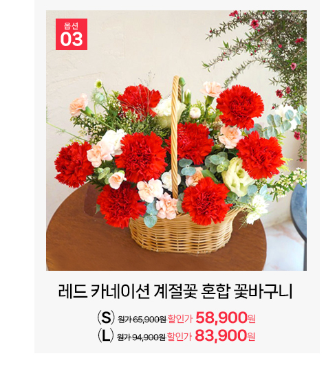 레드 카네이션과 계절꽃이 어우러진 대형 꽃바구니 생화 소재 안내