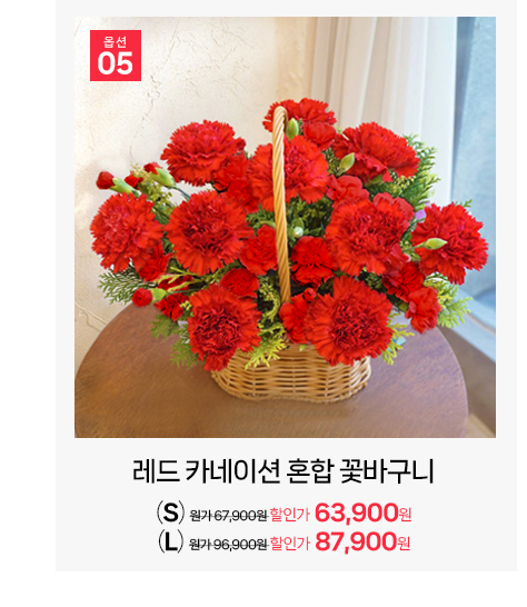 레드 카네이션 포인트 혼합 꽃바구니 화사한 인테리어용 생화 바구니