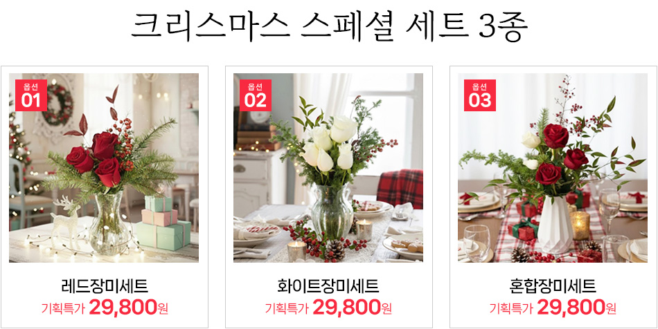 전국 당일 3시간 내 배송 크리스마스 특별 기획전 3종류 안내