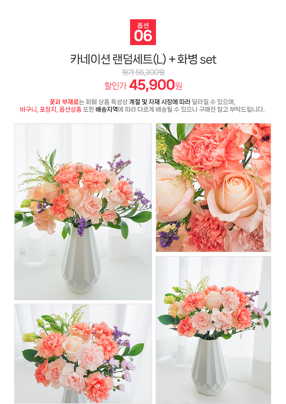 스승의날 기념 프리미엄 카네이션 랜덤 L사이즈 전국 택배 배송