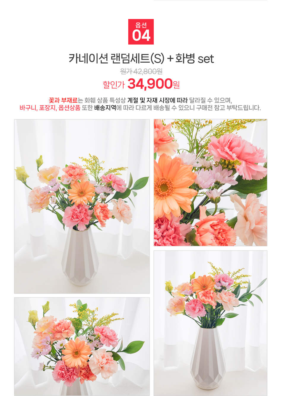 가성비 좋은 카네이션 랜덤 S 전국 당일 배송 서비스 꽃주문닷컴