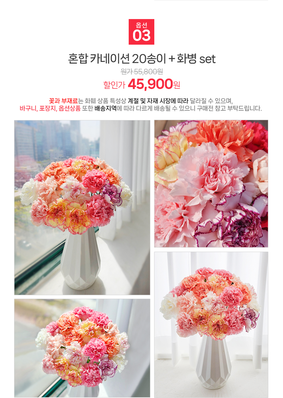 전국 우체국 택배 신선 배송 혼합 카네이션 20송이 어버이날 꽃배달