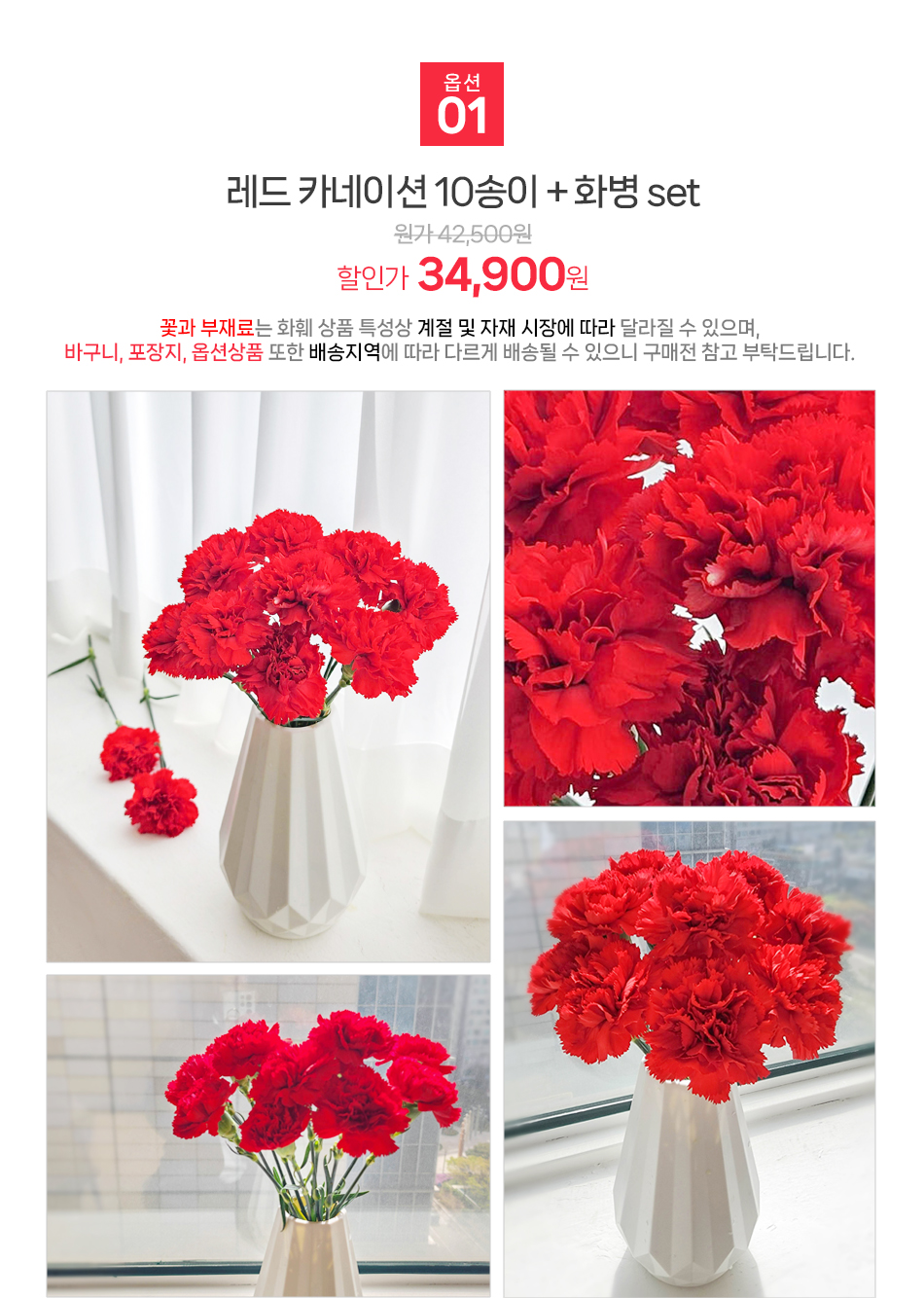 서울 경기 배송 레드 카네이션 10송이 꽃주문닷컴 실시간 안심 배송