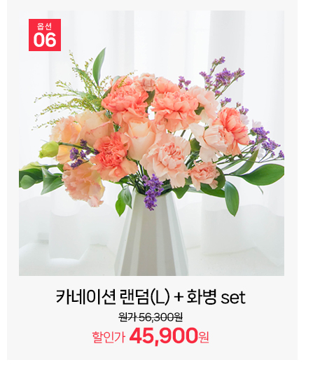 고급형 카네이션 랜덤 L사이즈 대형 꽃다발 세트