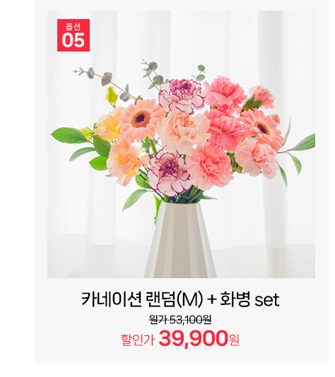 인기 상품 카네이션 랜덤 M사이즈 중형 꽃다발