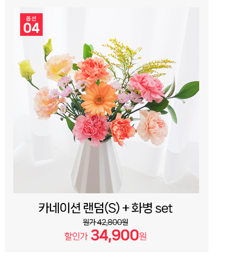 실속형 카네이션 랜덤 S사이즈 미니 꽃다발