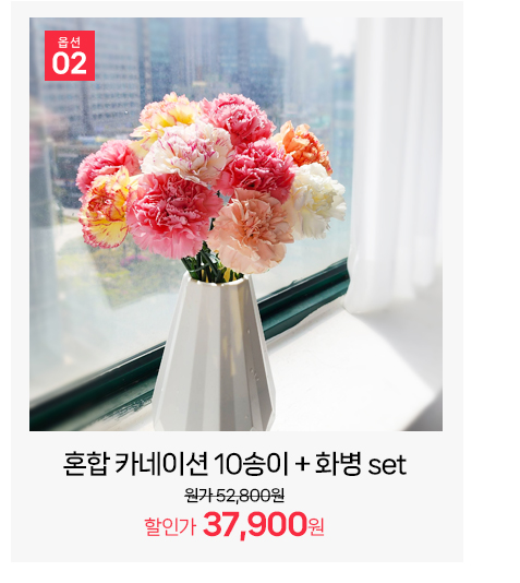 파스텔톤 혼합 카네이션 10송이 기획 특가 상품