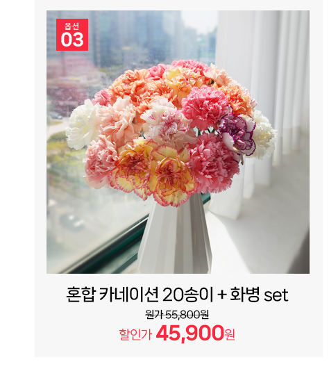 풍성한 혼합 카네이션 20송이 대형 꽃다발 프리미엄