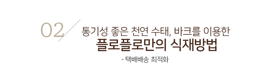 동양란 서양란 건강을 위한 천연 수태와 바크 식재 과정 플로플로 특별 식재법