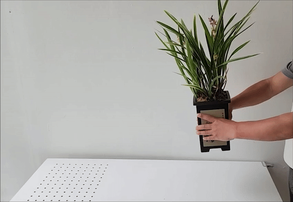 식물 건강을 위한 통기성 좋은 천연 수태와 바크 식재법 프리미엄 난 관리