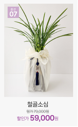 철골소심 동양란 승진 축하 영전 선물 추천