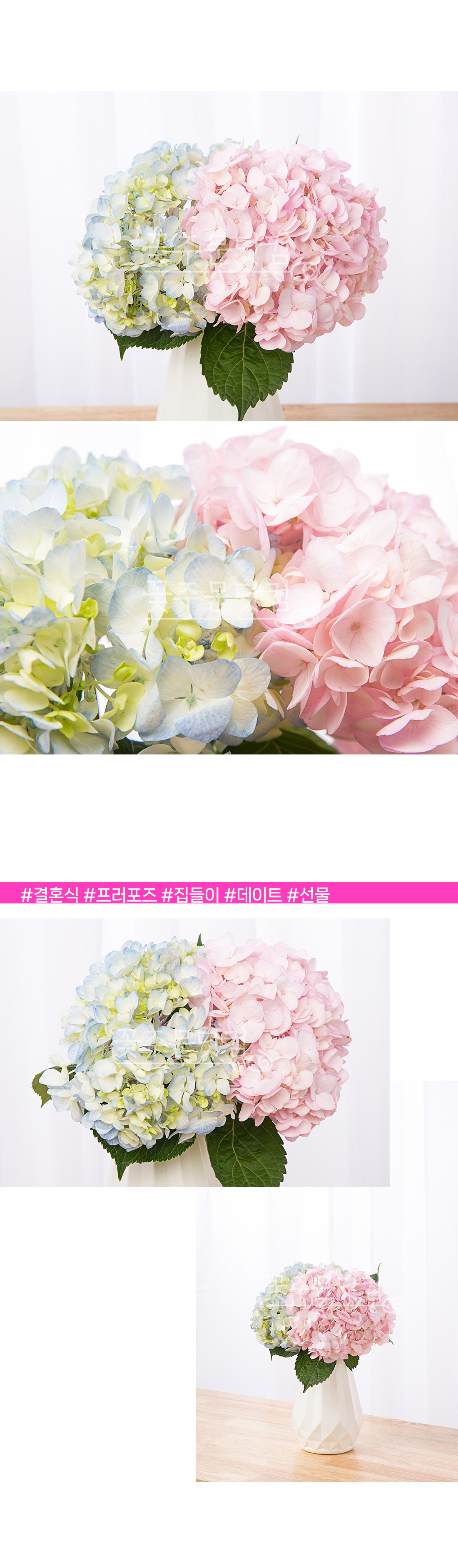 3. 플로플로 수국세트 상세 이미지 설명