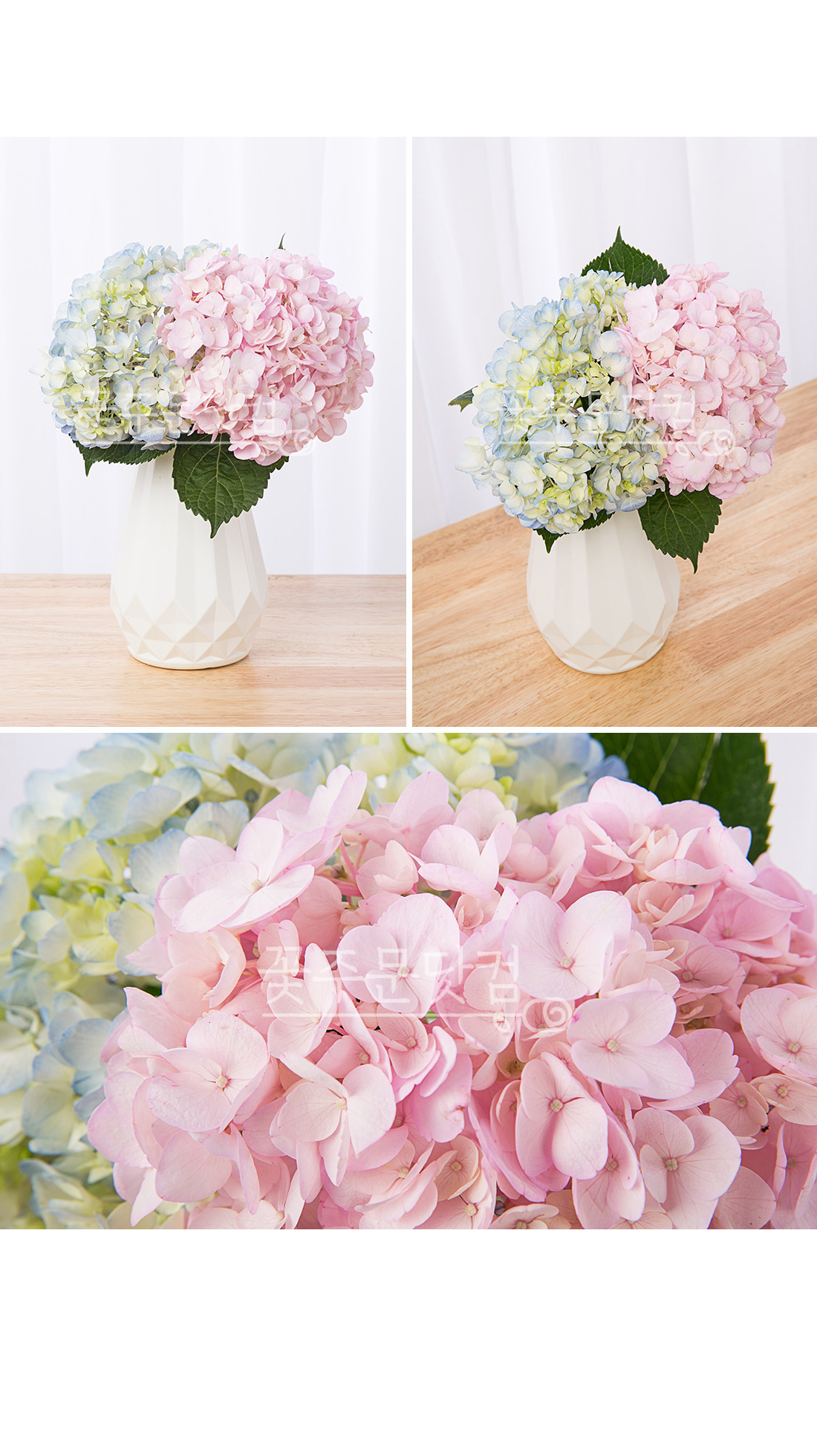 3. 창가 옆 시원해 보이는 수국 화병 배치