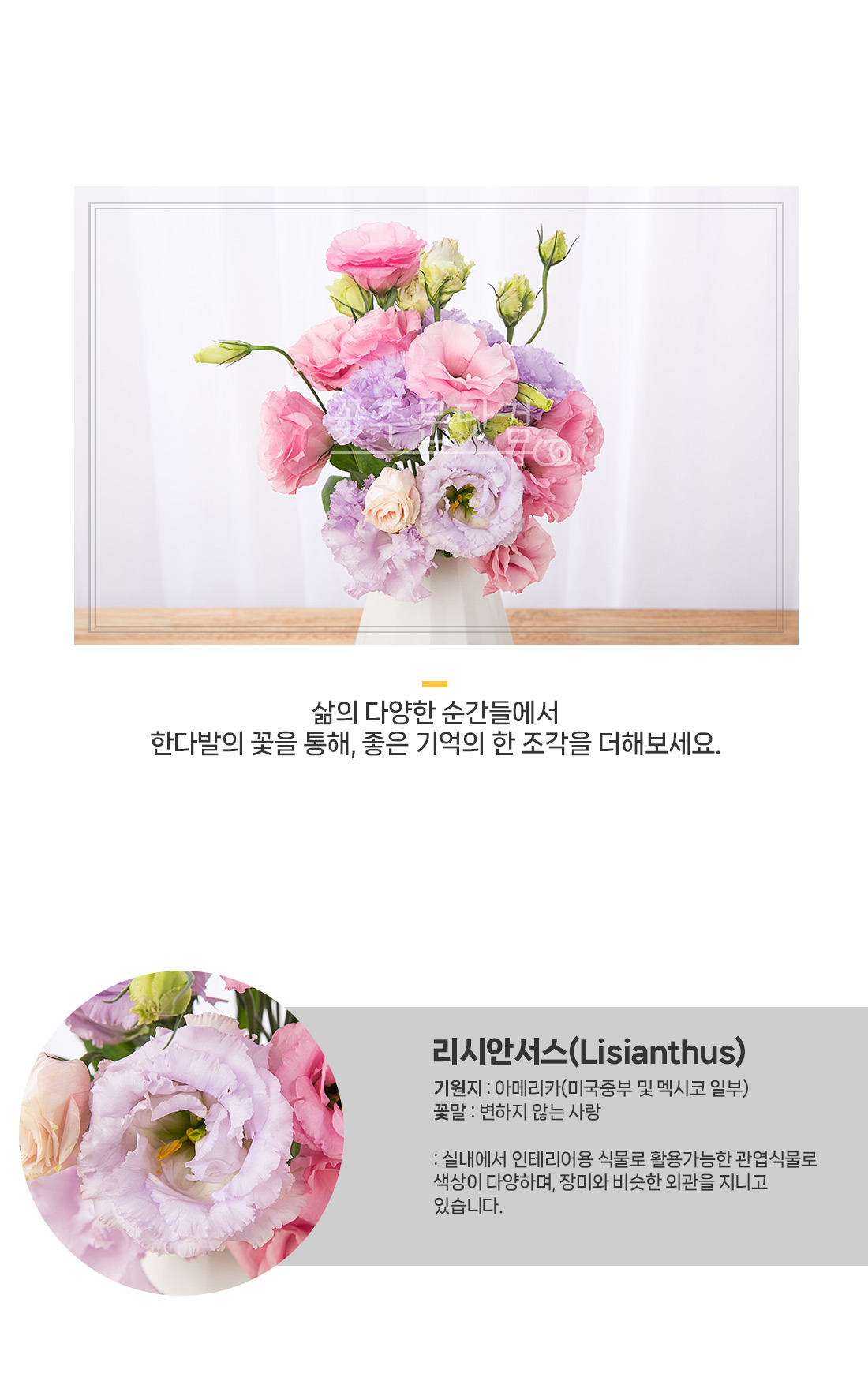 2. 겹겹이 쌓인 리시안셔스 꽃잎 상세샷