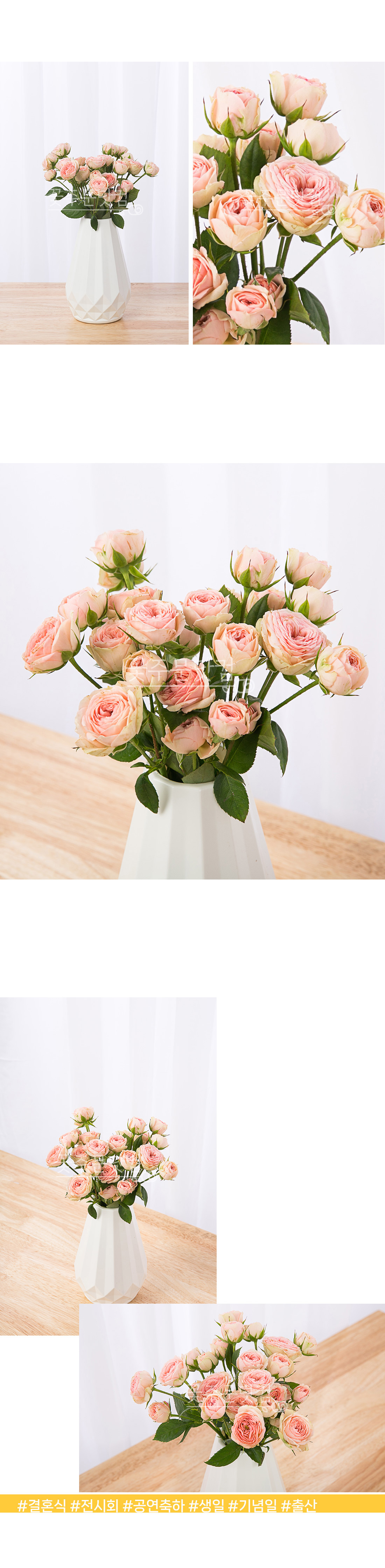 3. 플로플로 미니 장미세트 상세 이미지 설명