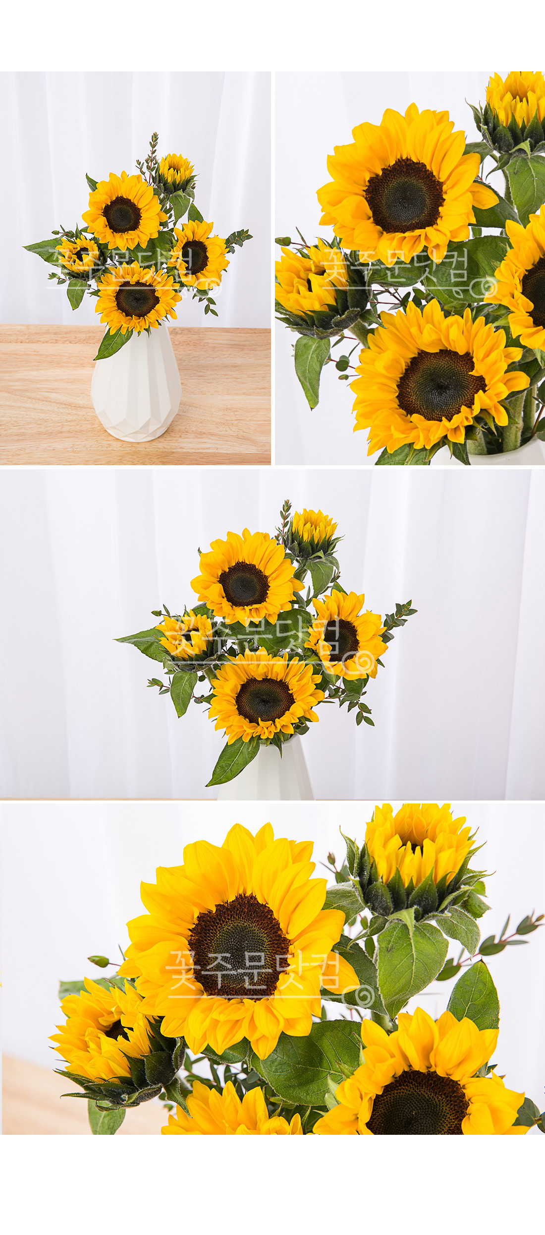 4. 집안 현관 입구 행운의 해바라기 배치