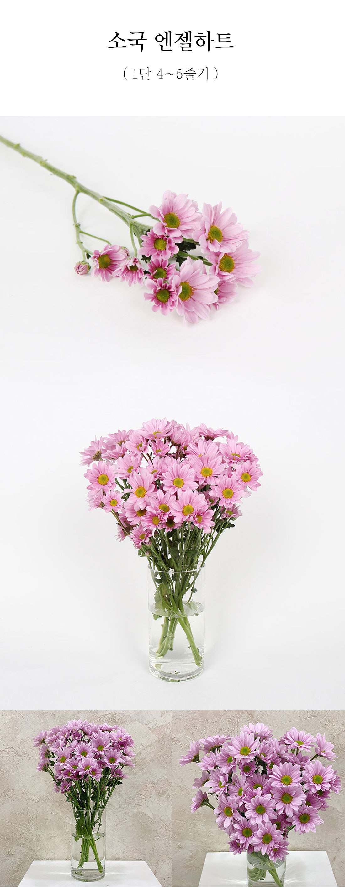  사랑스러운 앤젤하트 소국 1단