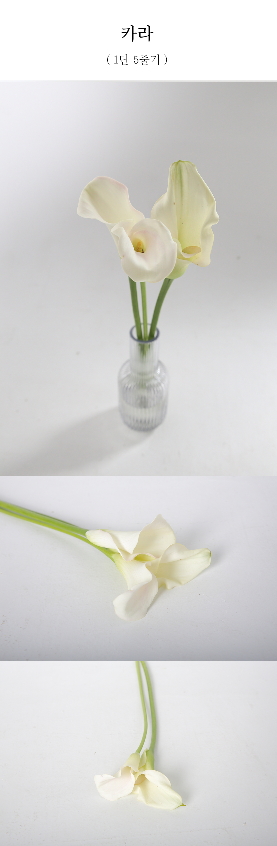  우아한 카라 생화 1단 5줄