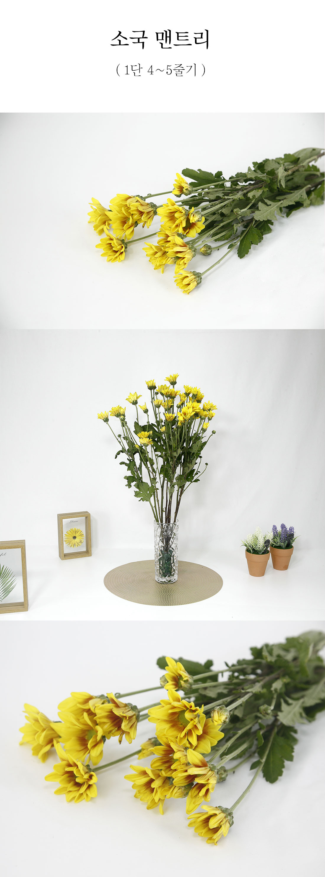  화사한 소국 맨트리 생화 1단