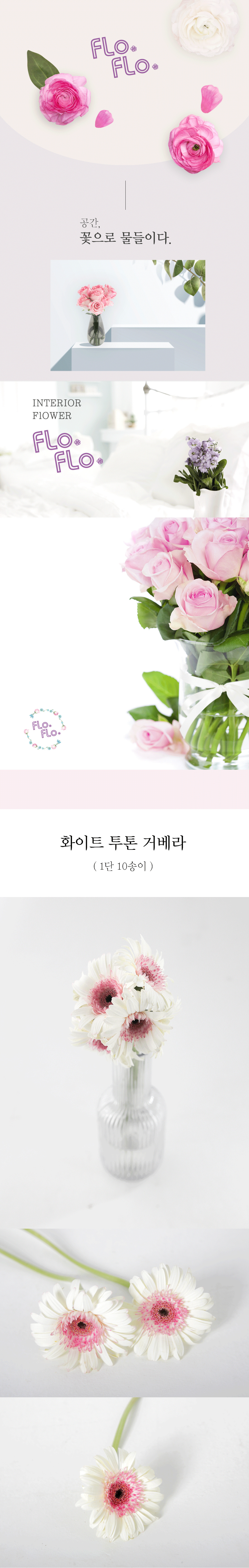  세련된 화이트 투톤 거베라 1단