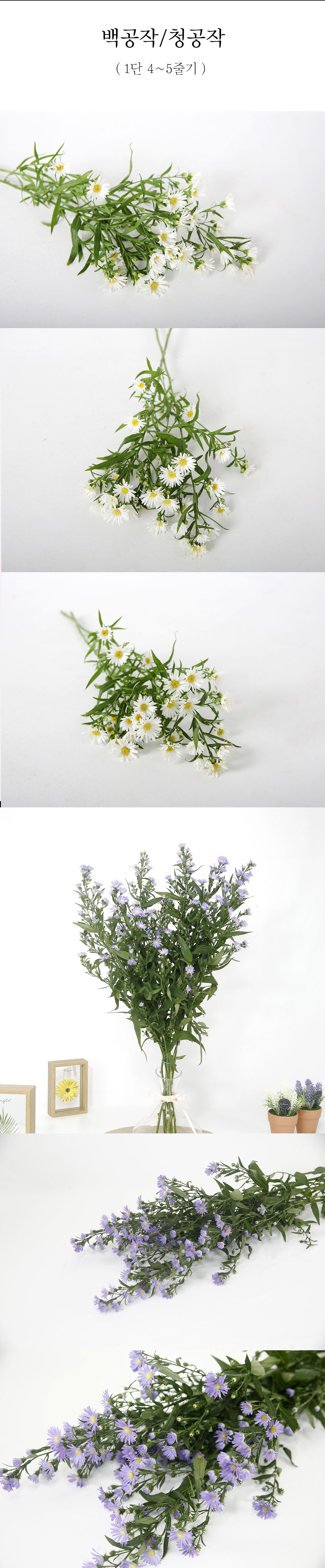  우아한 백공작 생화 1단 소재