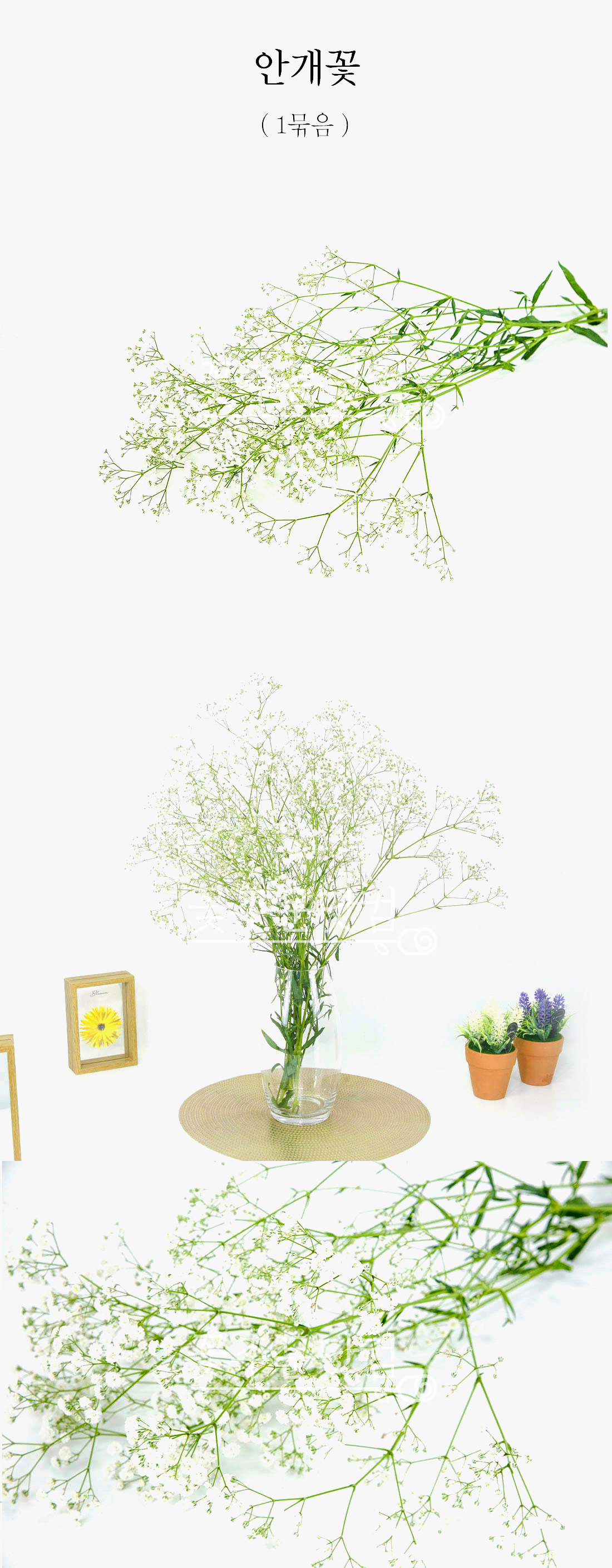  화이트 안개꽃 생화 1묶음 전국 배송 꽃다발 만들기 셀프 꽃꽂이 소재
