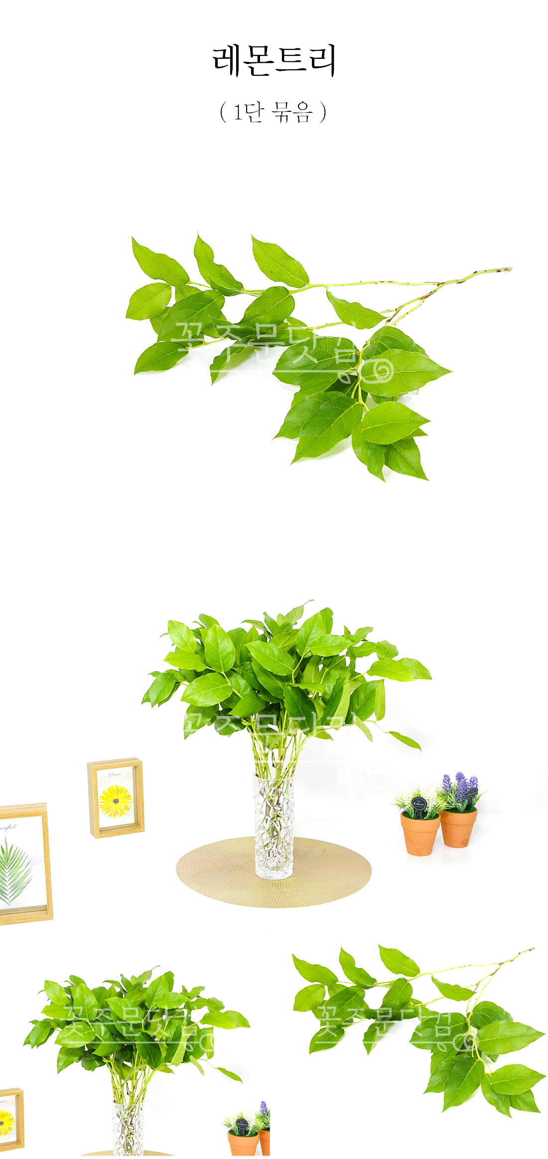  레몬트리 생화 가지 1묶음 전국 배송 싱그러운 잎소재 꽃꽂이 재료