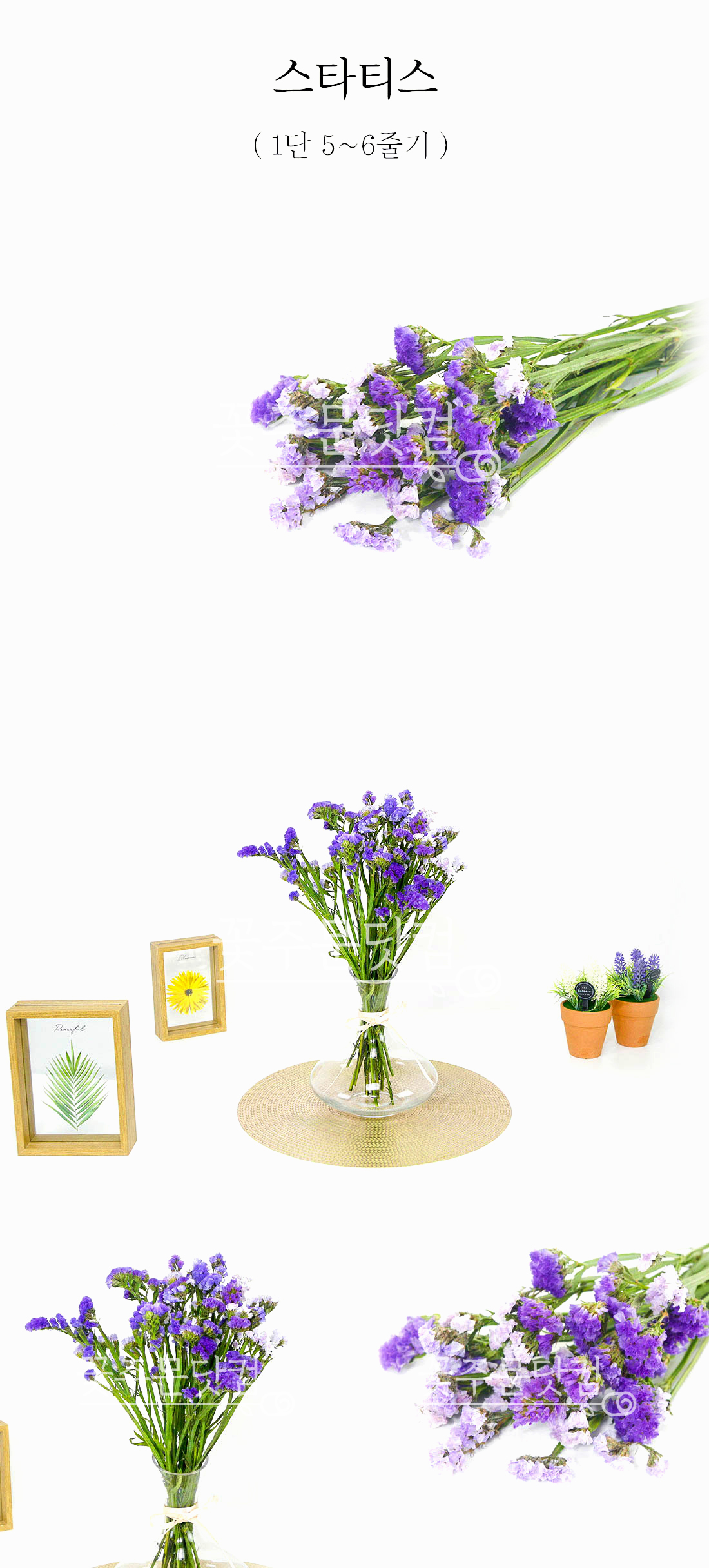  스타티스 생화 1단 보라색 전국 배송 드라이플라워 가능 영원한 사랑