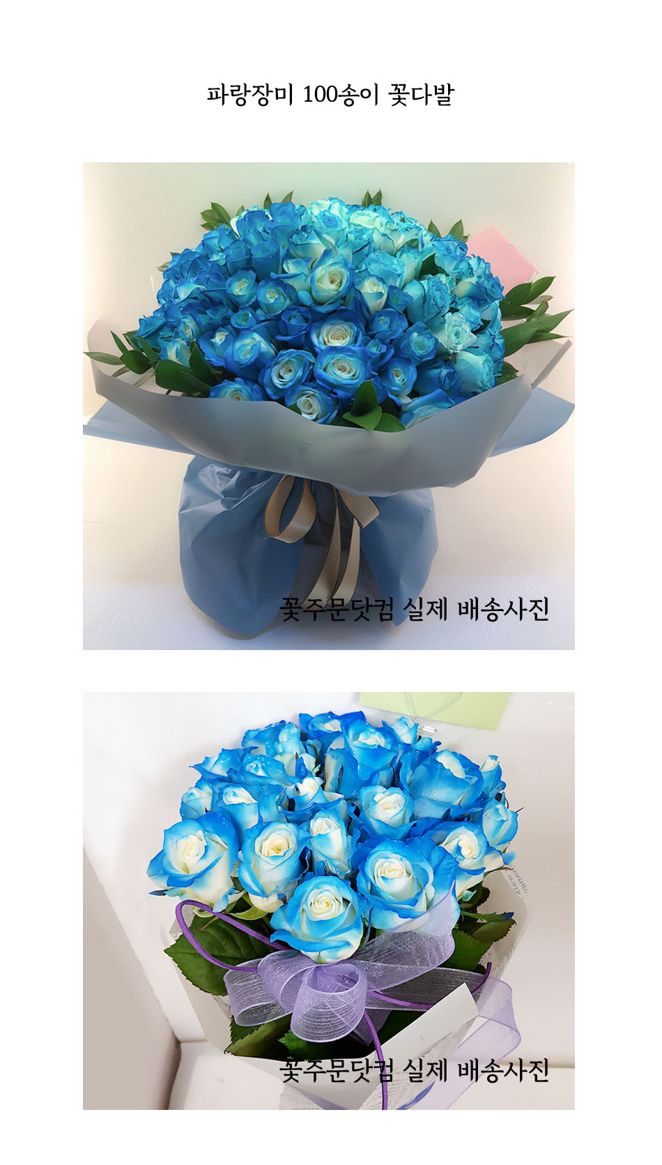 희귀한 파랑장미 100송이 꽃다발