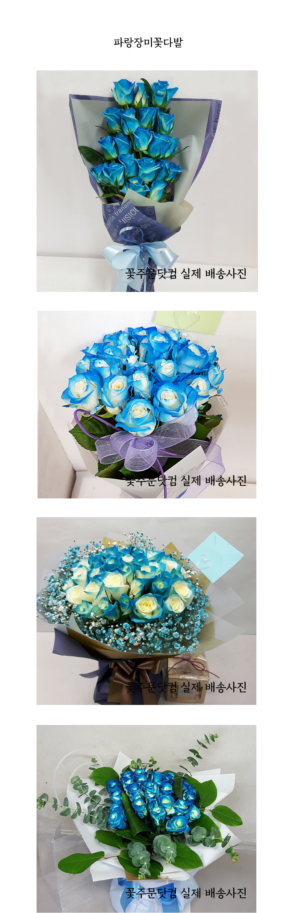 신비로운 파랑 장미 꽃다발