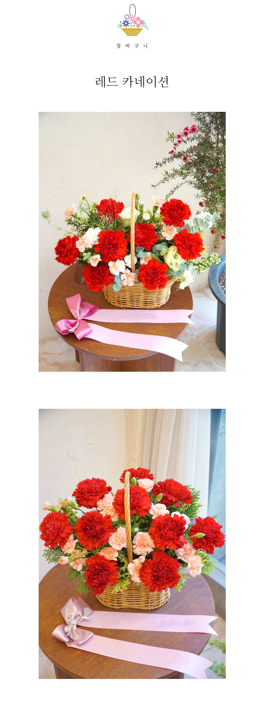 선명한 레드 카네이션 꽃다발