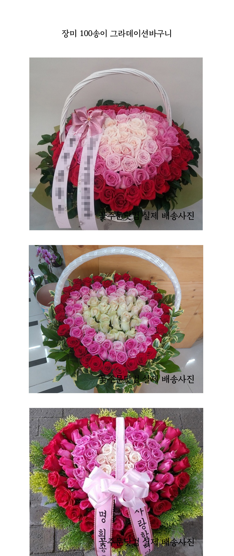 프로포즈 장미 100송이 그라데이션 꽃바구니