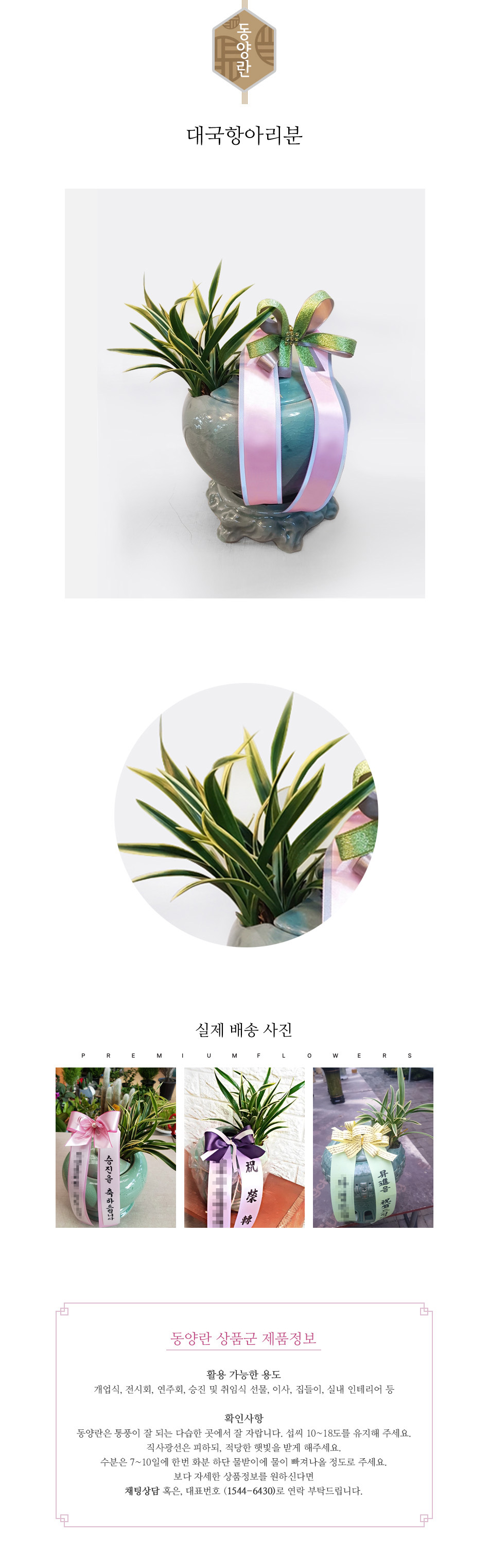 꽃주문닷컴 대국 항아리분 배달: 세종시 정부청사, 광화문, 서초동 법조타운 승진 및 취임 축하 명품 철골소심 당일 배송. 비즈니스 인사 시즌 전문 동양란 배달 서비스 및 상품 상세 관리법 안내