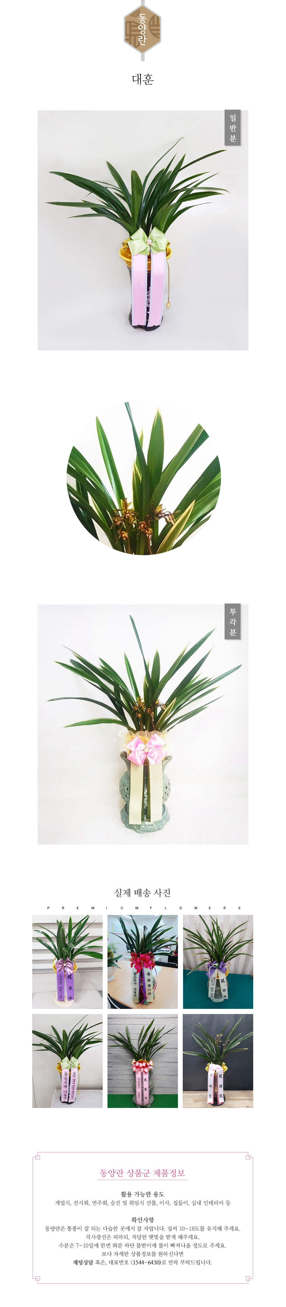 꽃주문닷컴 대훈 배달: 세종시 정부청사, 광화문, 서초동 법조타운 승진 및 취임 축하 명품 철골소심 당일 배송. 비즈니스 인사 시즌 전문 동양란 배달 서비스 및 상품 상세 관리법 안내