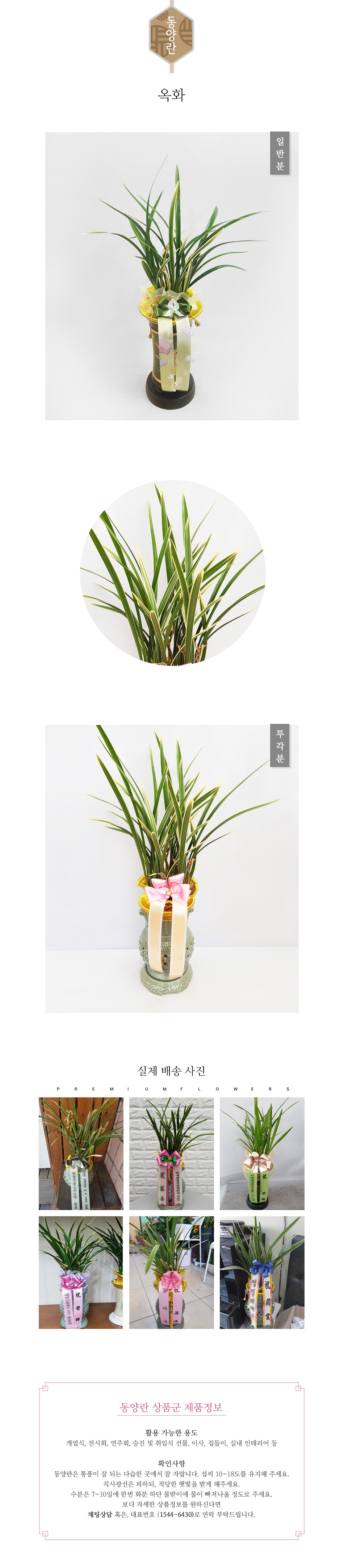 꽃주문닷컴 옥화 배달: 세종시 정부청사, 광화문, 서초동 법조타운 승진 및 취임 축하 명품 철골소심 당일 배송. 비즈니스 인사 시즌 전문 동양란 배달 서비스 및 상품 상세 관리법 안내