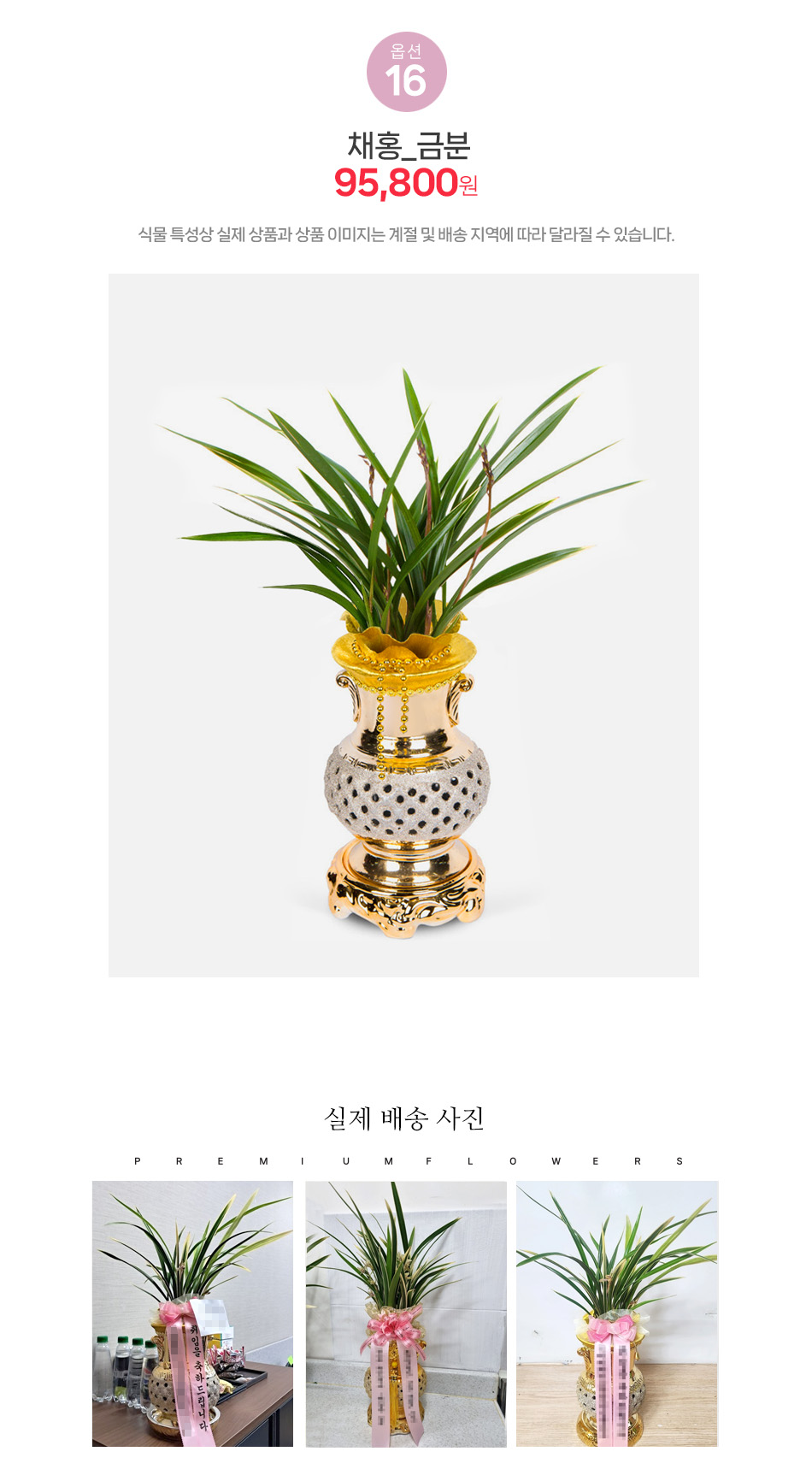 채홍 금분 - 황금빛 화분으로 재물운을 기원하는 최고급 개업 화분 및 동양란 배달