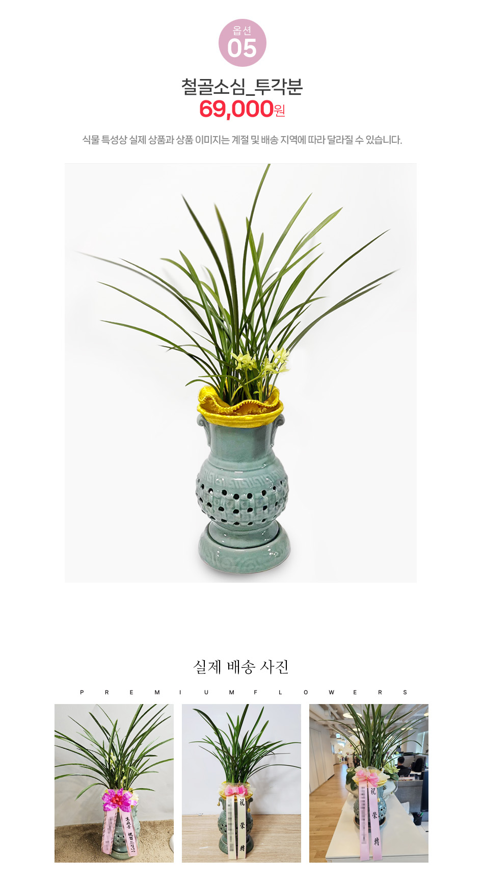 철골소심 투각분 - 격식 있는 자리에 어울리는 고급 동양란 배달, 인사 시즌 인기 상품