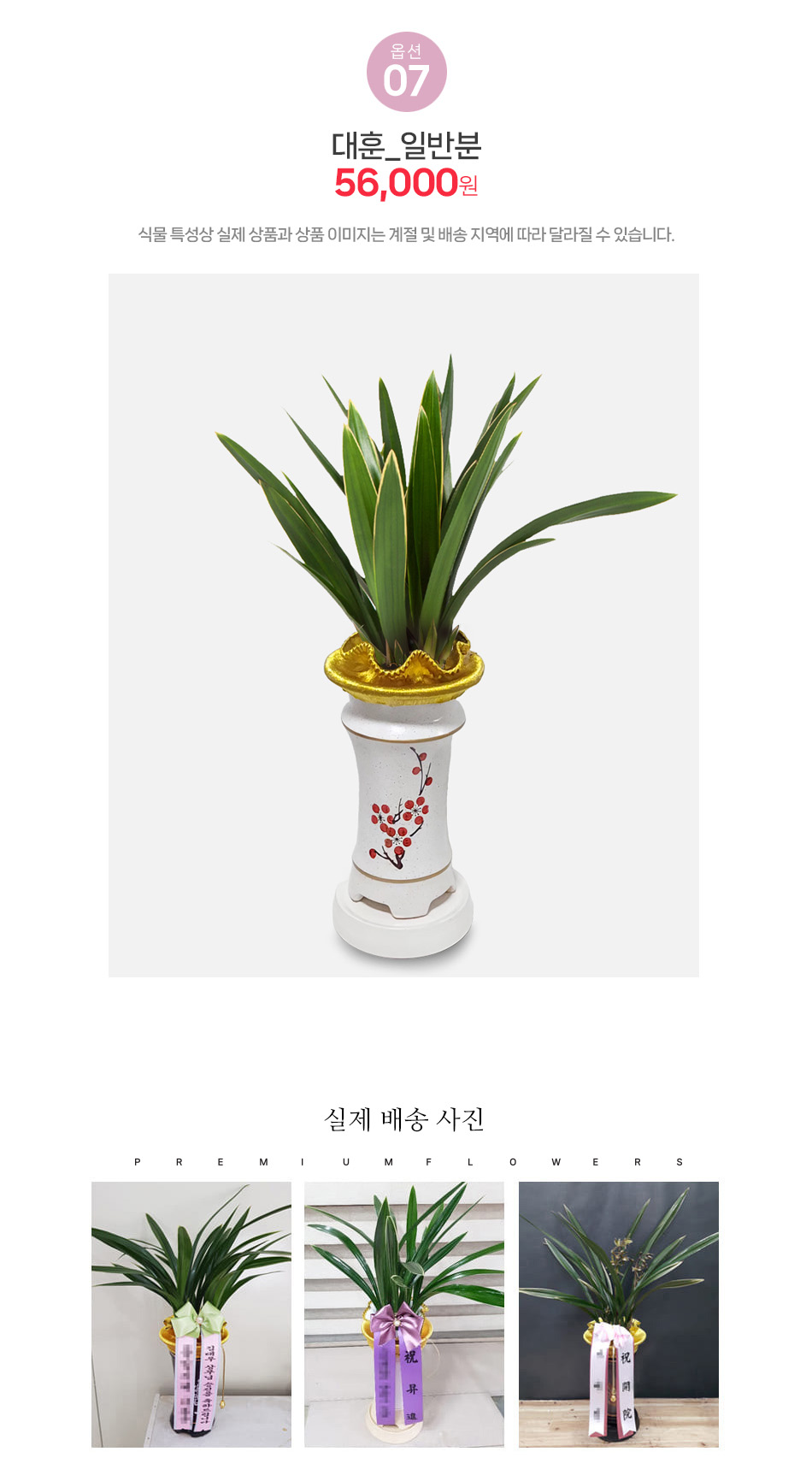 대훈 동양란 - 잎이 넓고 기개가 느껴지는 남성적인 선의 동양란, 취임 및 영전 선물