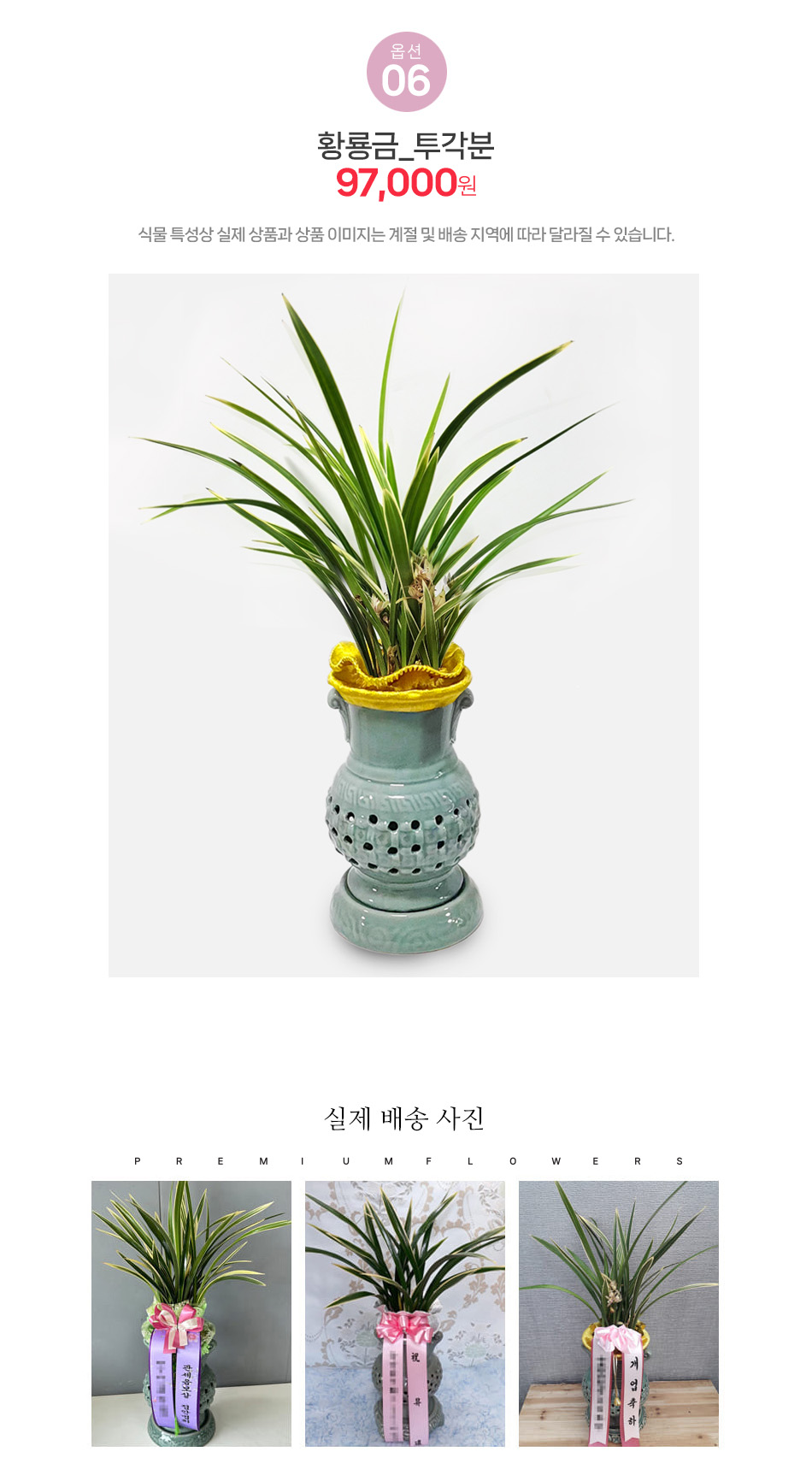 황룡금 투각분 - 화려한 황룡금과 고급 투각 화분의 조화, 신규 매장 개업 축하란