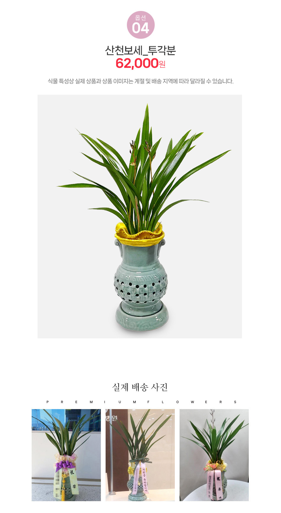 산천보세 추각분 - 고급스러운 조각 화분에 담긴 명품 동양란, 법인 기업체 임원 승진 선물