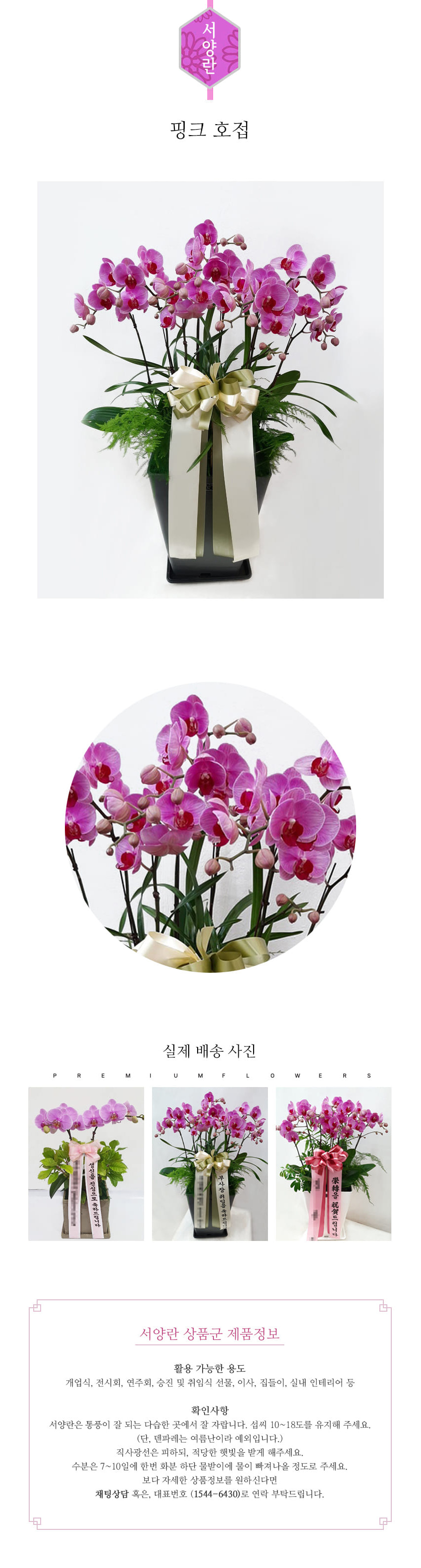 꽃주문닷컴 진핑크 호접 배달: 서울 강남, 서초, 여의도, 광화문 법인 사무실 승진 및 영전 개업 축하 명품 호접란 당일 3시간 배송. 기업체 및 관공서 인사 시즌 전문 란 배달 리본 문구 무료 서비스“ 및 상품 상세 관리법 안내