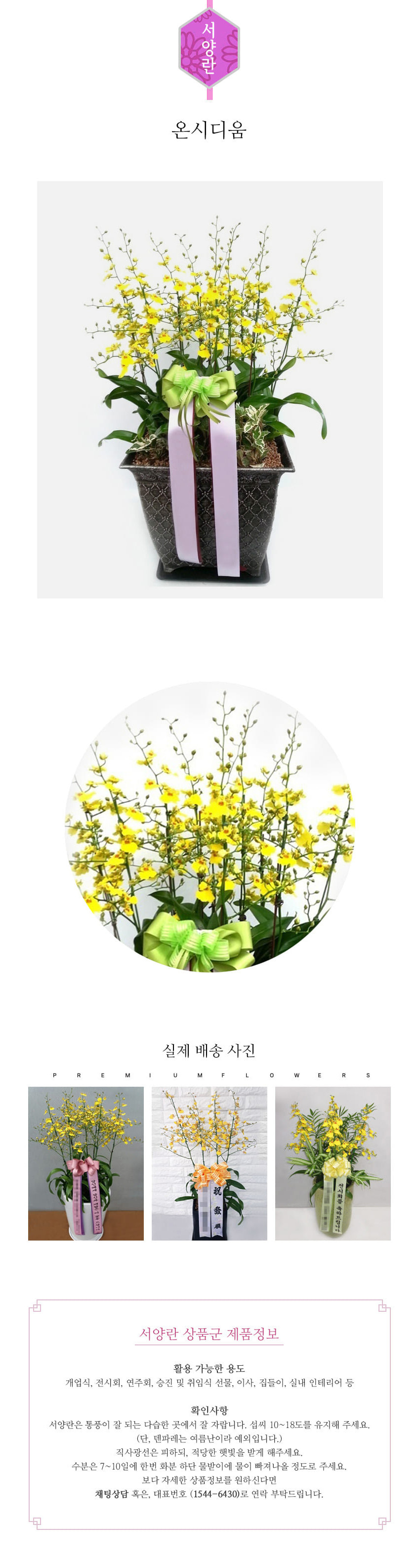 꽃주문닷컴 온시디움 배달: 서울 강남, 서초, 여의도, 광화문 법인 사무실 승진 및 영전 개업 축하 명품 호접란 당일 3시간 배송. 기업체 및 관공서 인사 시즌 전문 란 배달 리본 문구 무료 서비스“ 및 상품 상세 관리법 안내