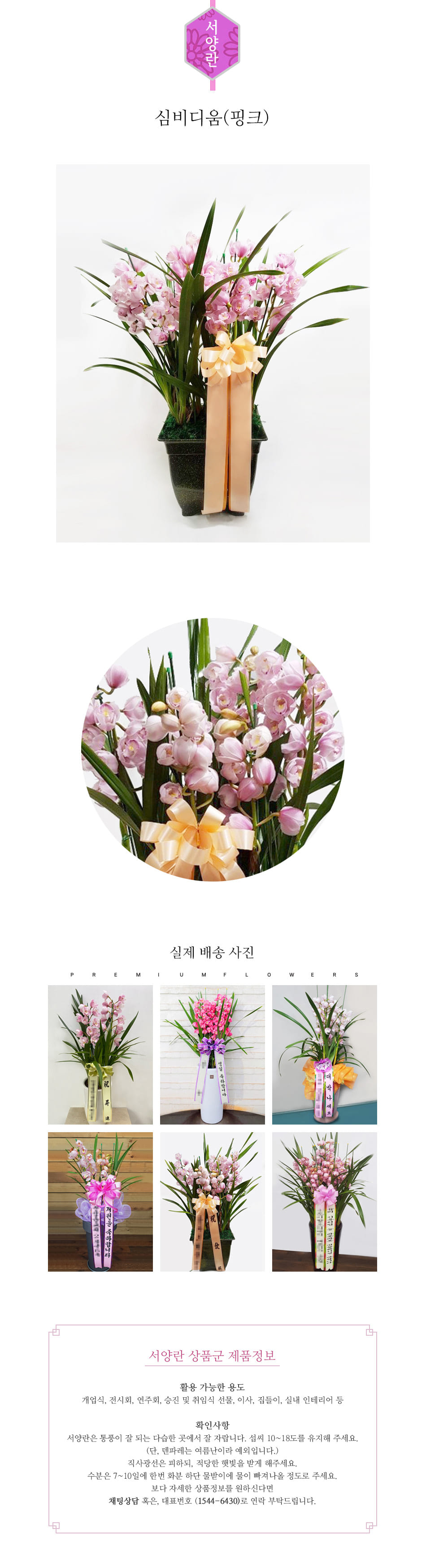꽃주문닷컴 핑크 심비디움 배달: 서울 강남, 서초, 여의도, 광화문 법인 사무실 승진 및 영전 개업 축하 명품 호접란 당일 3시간 배송. 기업체 및 관공서 인사 시즌 전문 란 배달 리본 문구 무료 서비스“ 및 상품 상세 관리법 안내
