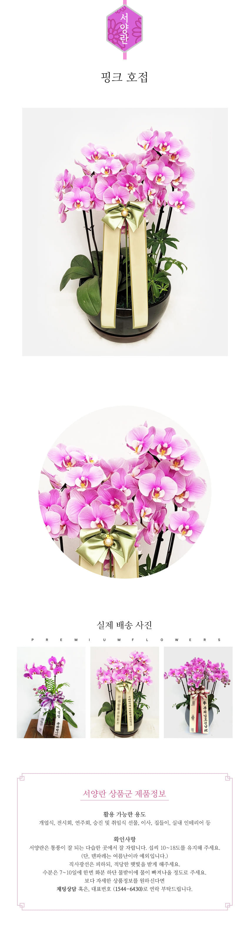 꽃주문닷컴 핑크 호접 배달: 서울 강남, 서초, 여의도, 광화문 법인 사무실 승진 및 영전 개업 축하 명품 호접란 당일 3시간 배송. 기업체 및 관공서 인사 시즌 전문 란 배달 리본 문구 무료 서비스“ 및 상품 상세 관리법 안내