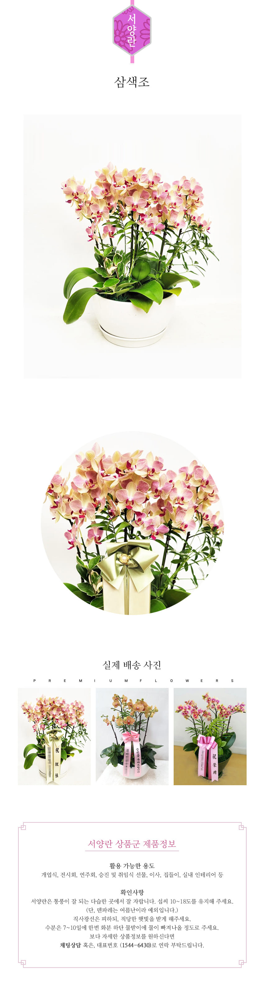 꽃주문닷컴 삼색조 L 배달: 서울 강남, 서초, 여의도, 광화문 법인 사무실 승진 및 영전 개업 축하 명품 호접란 당일 3시간 배송. 기업체 및 관공서 인사 시즌 전문 란 배달 리본 문구 무료 서비스“ 및 상품 상세 관리법 안내