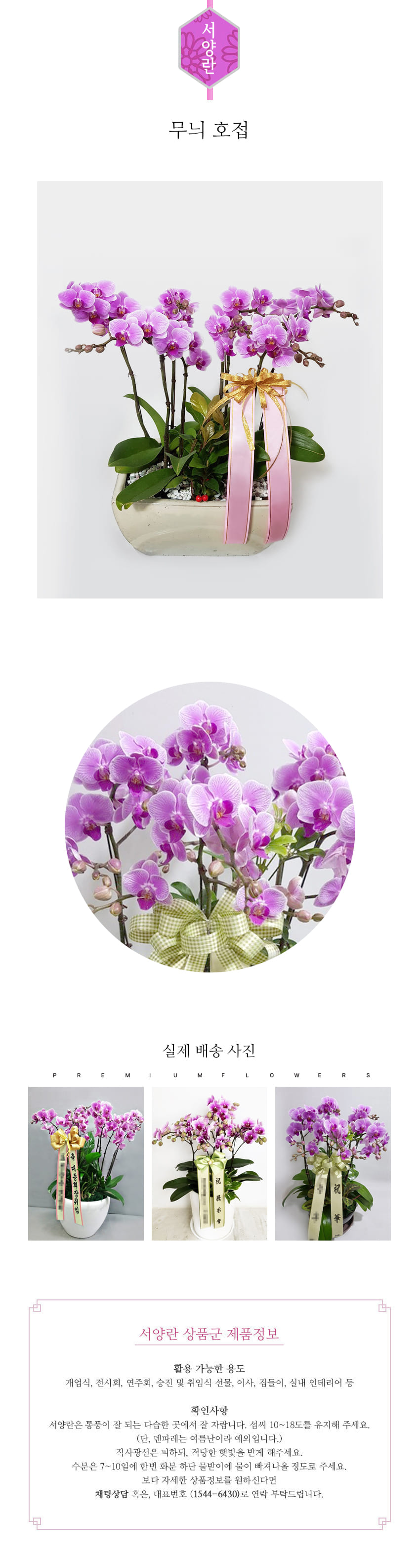 꽃주문닷컴 무늬 호접 배달: 서울 강남, 서초, 여의도, 광화문 법인 사무실 승진 및 영전 개업 축하 명품 호접란 당일 3시간 배송. 기업체 및 관공서 인사 시즌 전문 란 배달 리본 문구 무료 서비스“ 및 상품 상세 관리법 안내