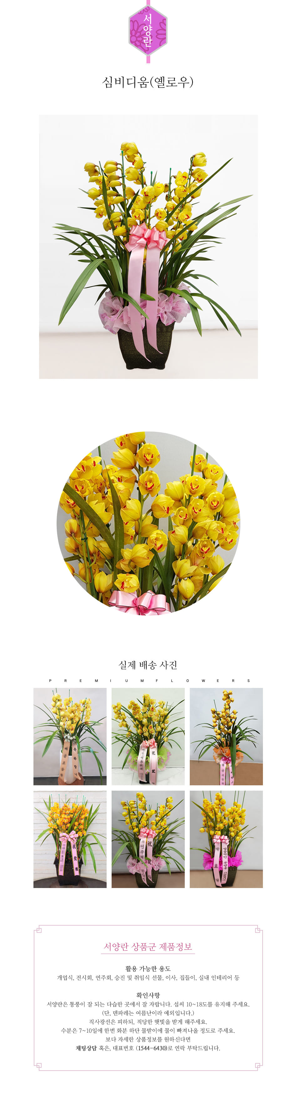 꽃주문닷컴 노랑 심비디움 배달: 서울 강남, 서초, 여의도, 광화문 법인 사무실 승진 및 영전 개업 축하 명품 호접란 당일 3시간 배송. 기업체 및 관공서 인사 시즌 전문 란 배달 리본 문구 무료 서비스“ 및 상품 상세 관리법 안내