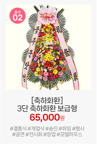 02번 보급형 축하화환: 가장 많은 고객님이 선택하시는 표준 모델로, 대중적인 행사에 실패 없는 선택입니다.