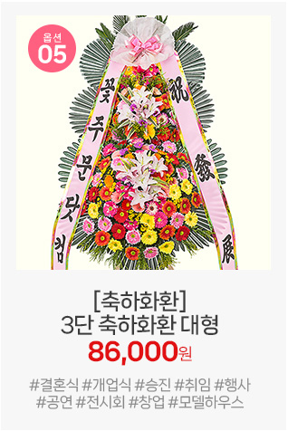 05번 대형 축하화환: 넓은 하단 구성으로 안정감과 존재감이 돋보여 개업식 입구 배치에 추천합니다.